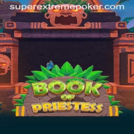 BookOfPriestess: A SuperExtreme Adventure